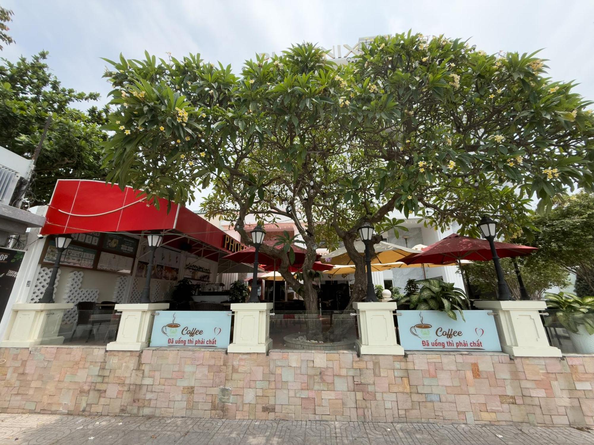 Phoenix Hotel Vung Tau Zewnętrze zdjęcie